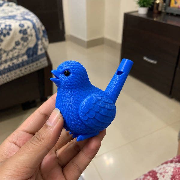 Susmita Sen review photo
